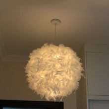 Chargement de l&#39;image dans la visionneuse de la galerie, Lampe suspendue plumes
