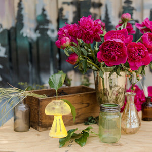 Vase en verre champignon avec fleurs